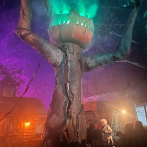 Meet your Posher, Ella